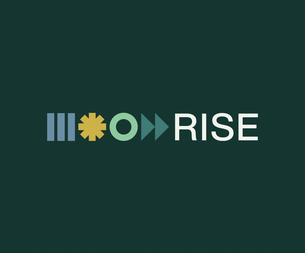 RISE SLP Workshop#1: From Ambition to Action