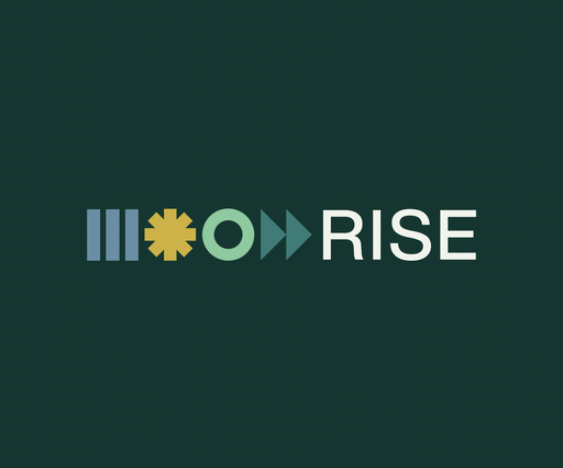 RISE SLP Workshop#1: From Ambition to Action